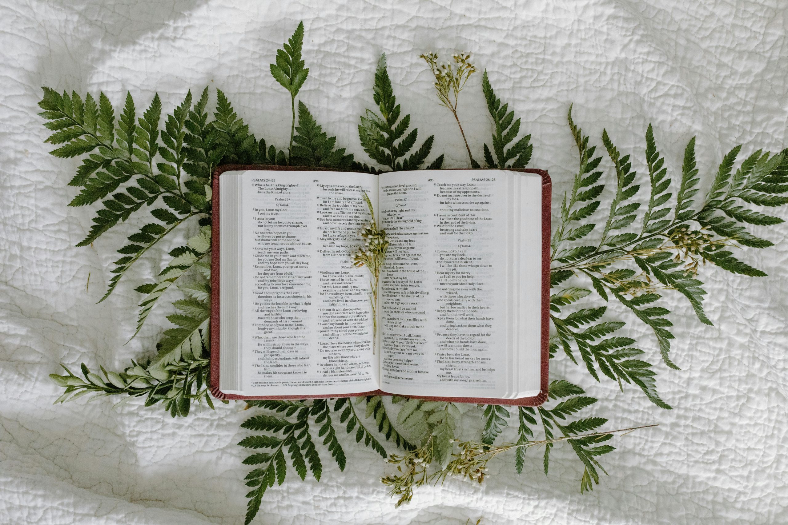 To describe how Mental Health and Biblical Principles intersect