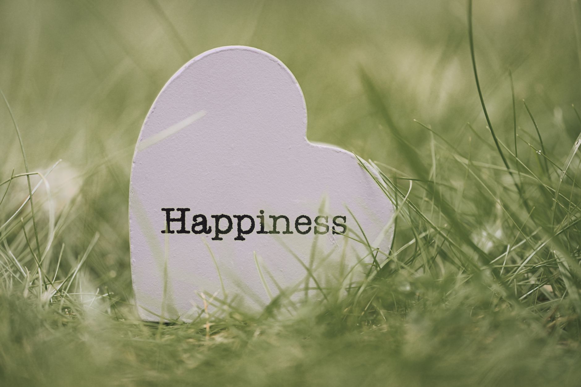 heart shaped happiness sign on grass